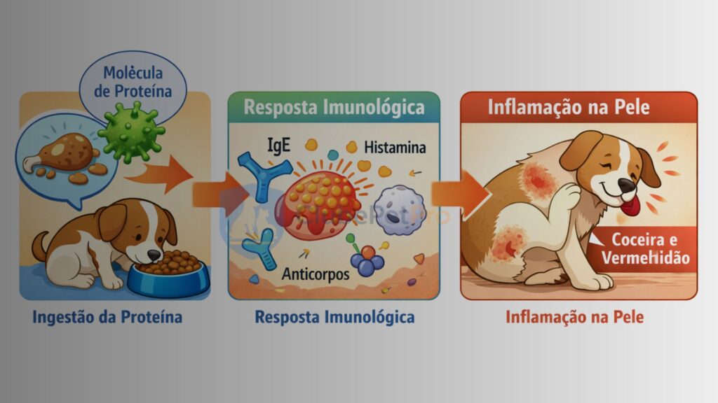 alergia-alimentar-em-caes